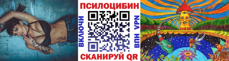 hydra рабочий сайт  Казань  Галлюциногенные грибы Psilocybe 